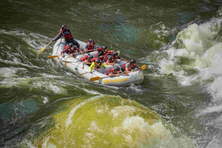 siyabonga tours and transfers